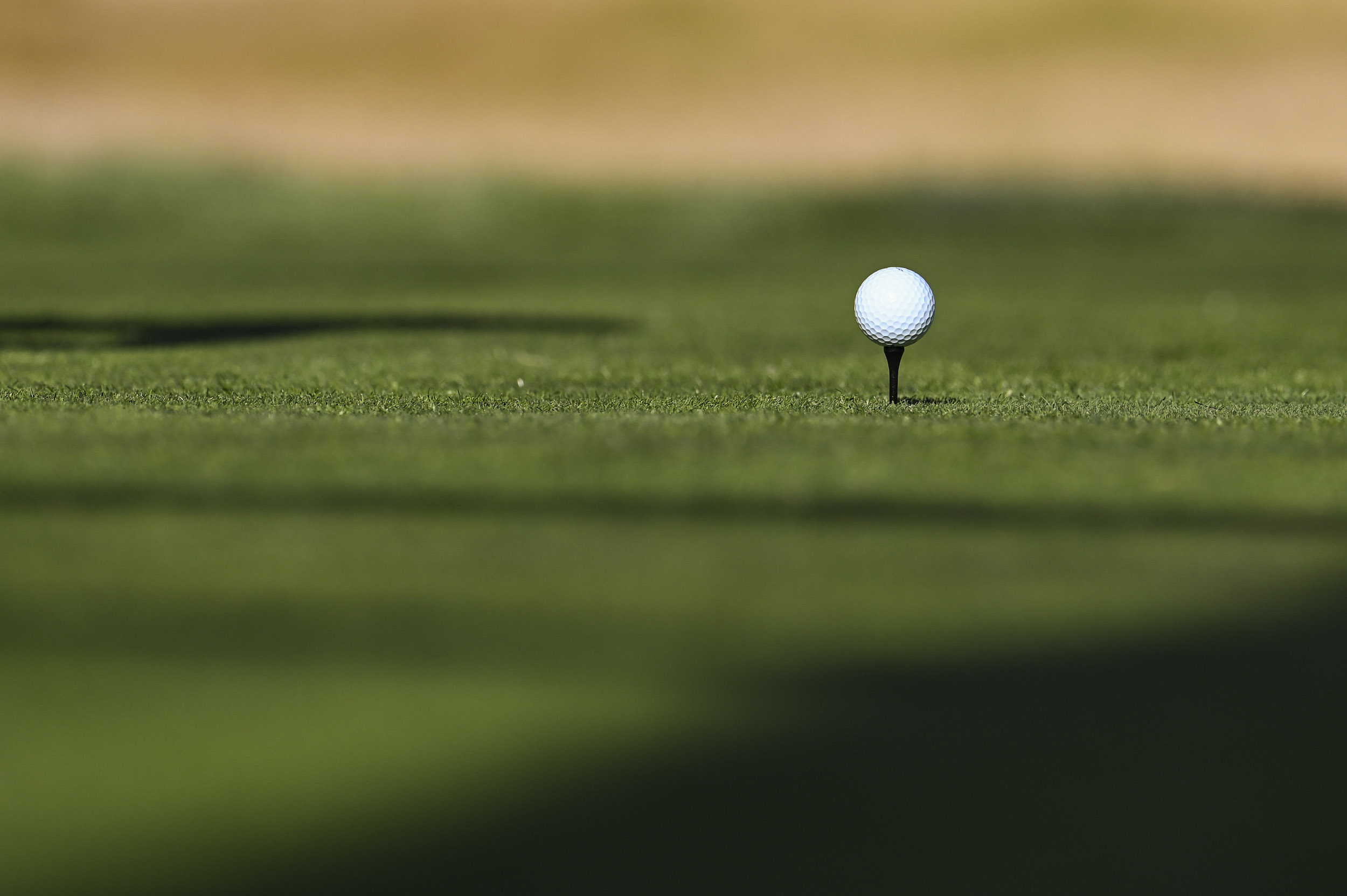 A golf ball on a tee.