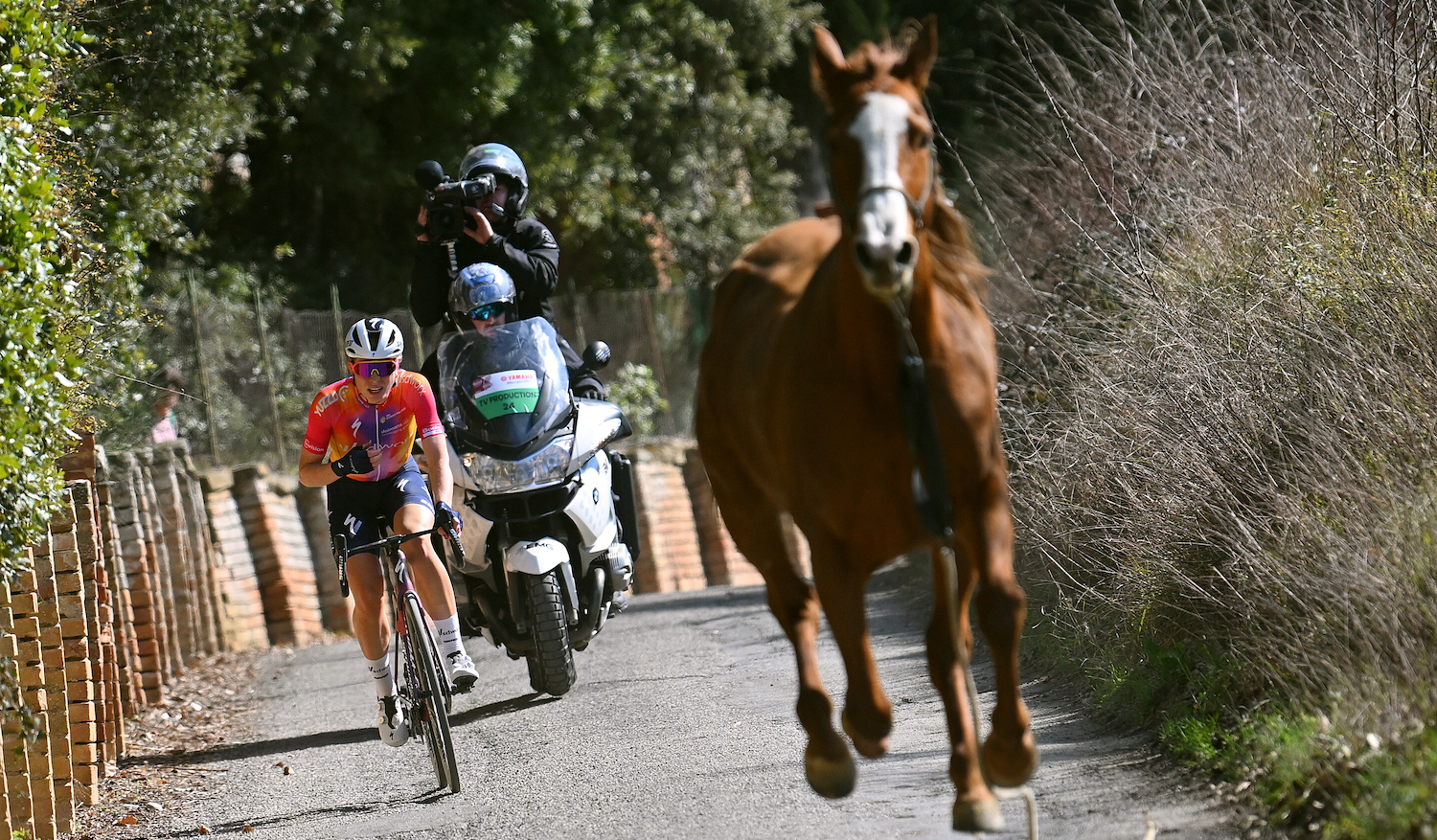 SIENA, ITALY - MARCH 04: Demi Vollering of The Netherlands and Team SD Worx attacks while a horse gallops beside her during the Eroica - 9th Strade Bianche 2023, Women's a 136km one day race from Siena to Siena 318m / #StradeBianche / on March 04, 2023 in Siena, Italy. (Photo by Luc Claessen/Getty Images)