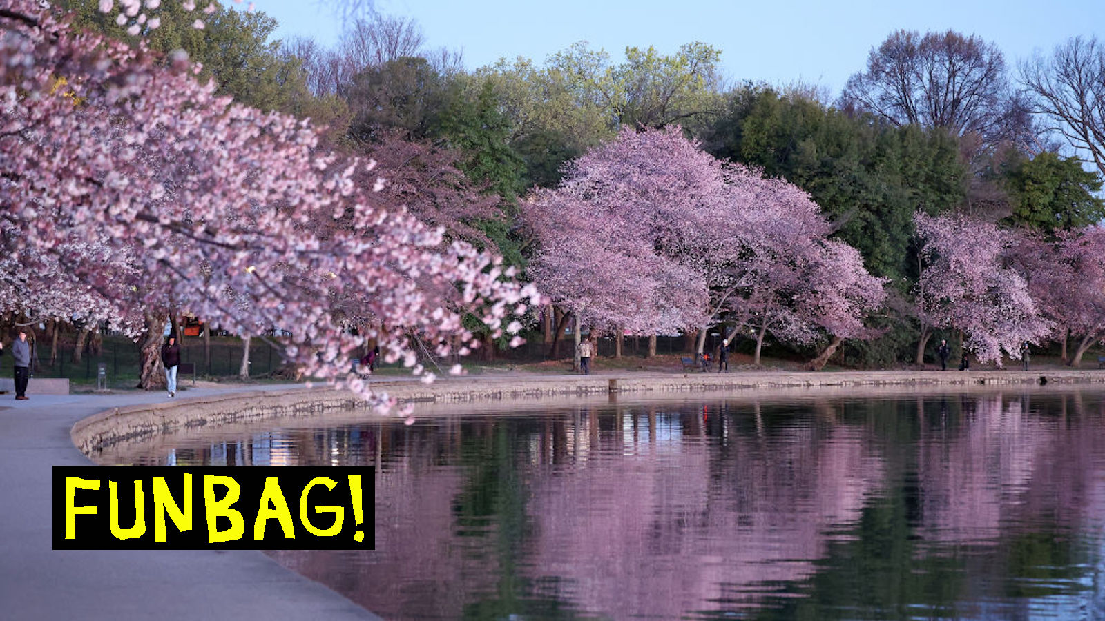WASHINGTON, DC - MARCH 20: Cherry blossoms near peak bloom around the Tidal Basin on March 20, 2023 in Washington, DC.