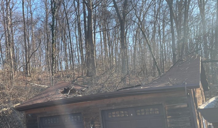 A woodland garage with a smashed-in roof.