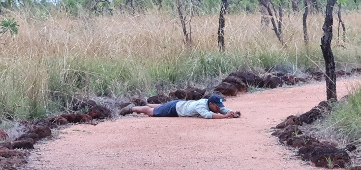 a man wearing a baseball cap lying on the ground taking a photo of a weevil, which is too small to see