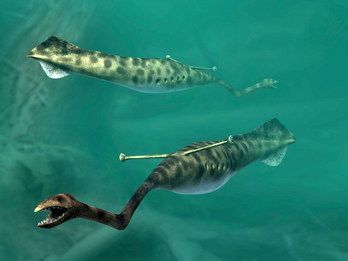 2 individuals of Tullimonstrum gregarium, or the Tully monster, swimming in a blue-green sea. Each looks like a squid with stalked eyes and a jointed trunk with a toothy pincer mouth at the end. Weird!!!