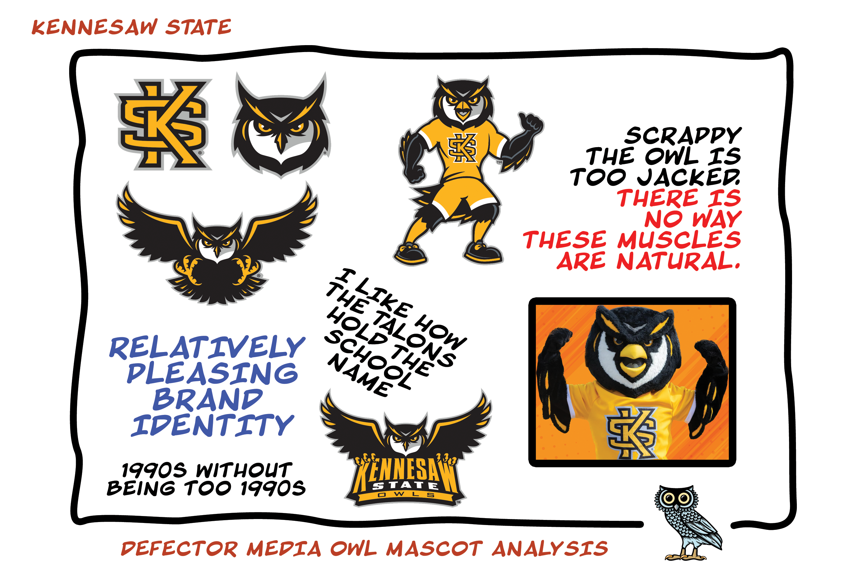 [Image: KENNESAW-owl-facts.png]
