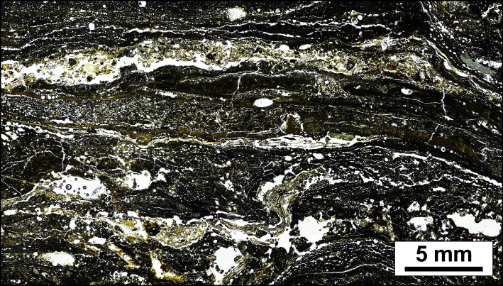 a cross-section of the hydrated phosphate layers in the poop donut