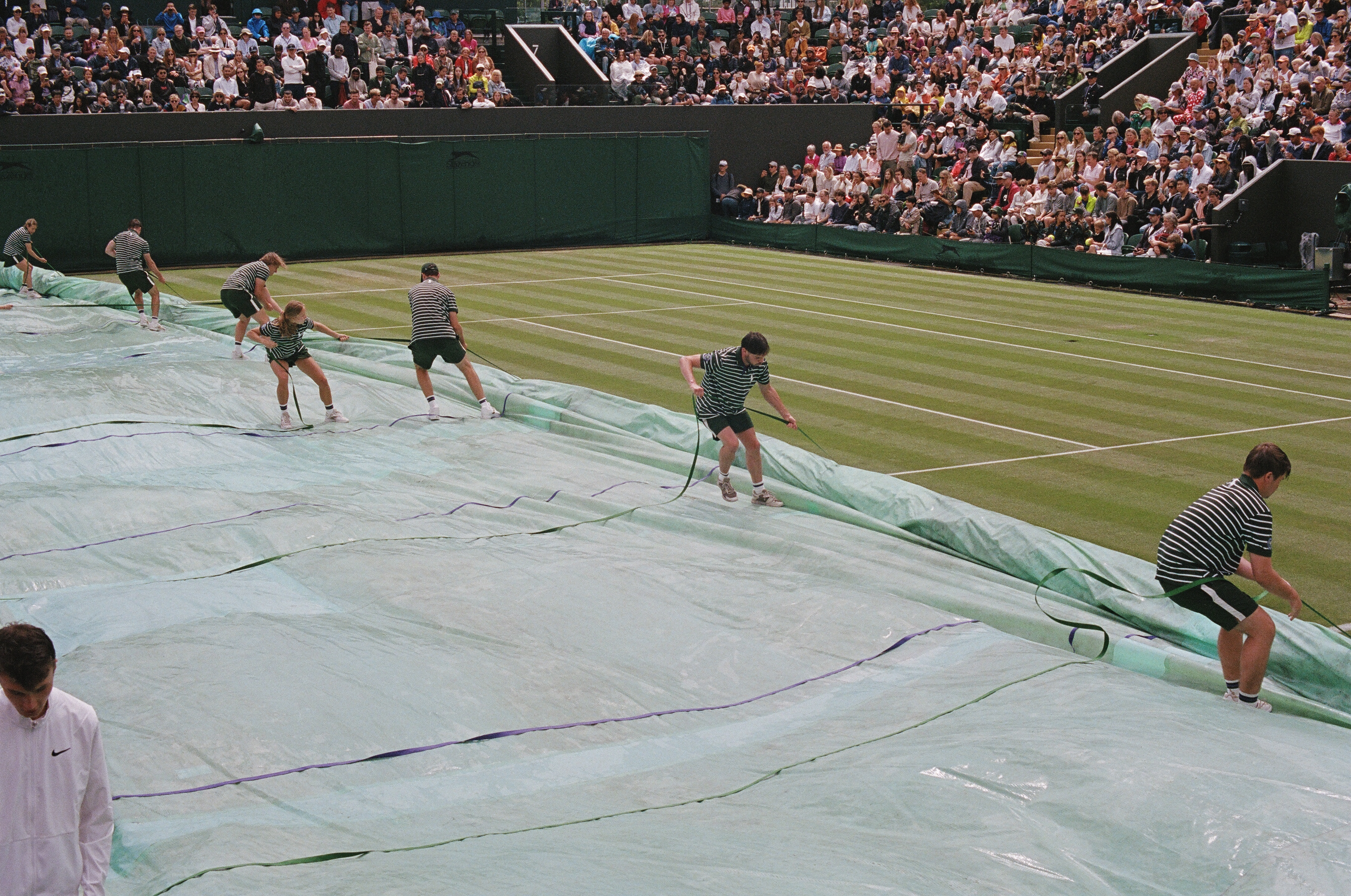 Royal Box roll call: Day 6 - The Championships, Wimbledon - Official Site  by IBM