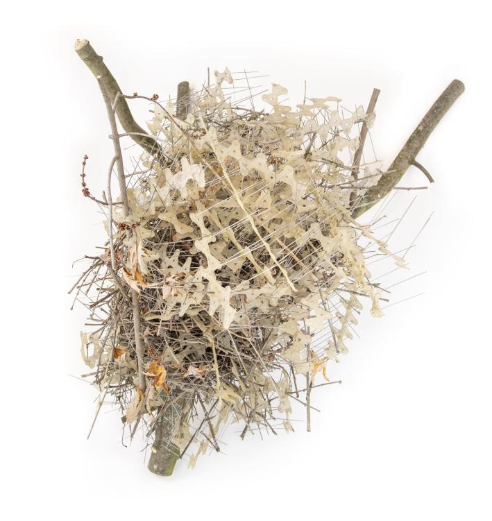 The Antwerp magpie nest, riddled with anti-bird spikes, against a white background.