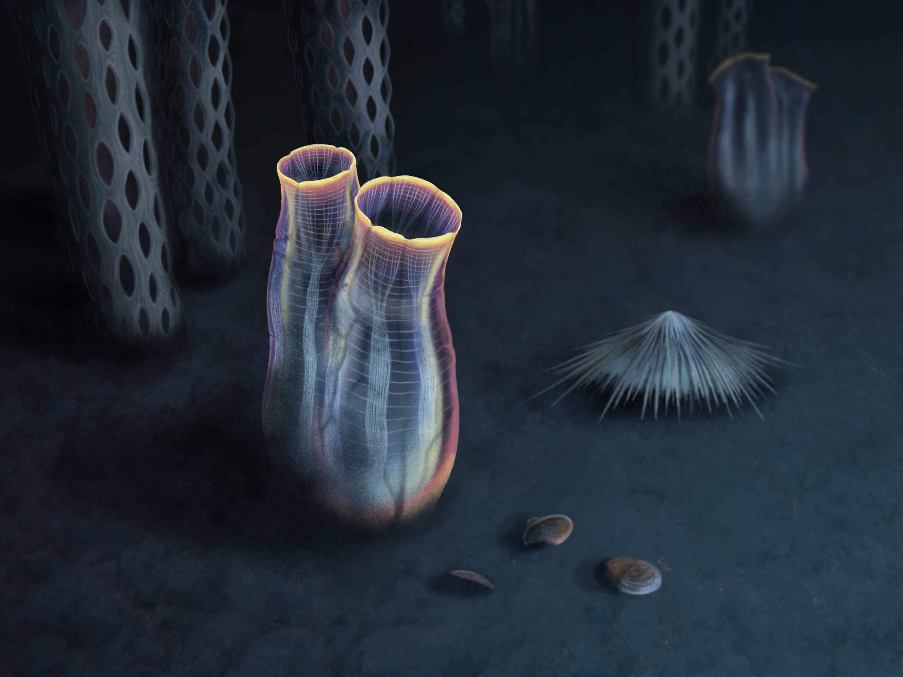 Artistic reconstruction of Megasiphon thylakos, a benthic organism that lived directly on the seafloor. The tunicate looks like two ghostly cylinders sitting on the seafloor