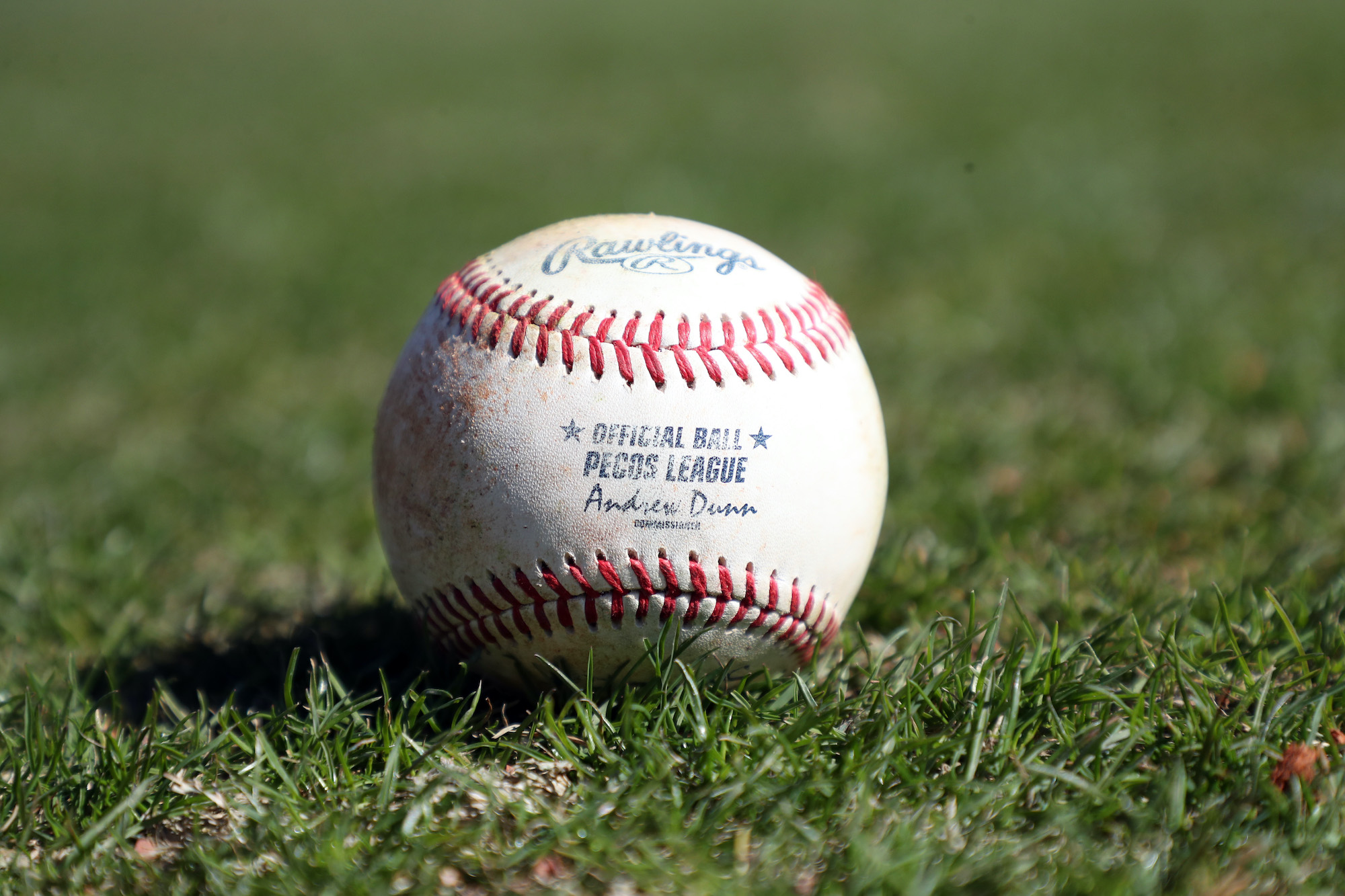 A Pecos League baseball in the grass.
