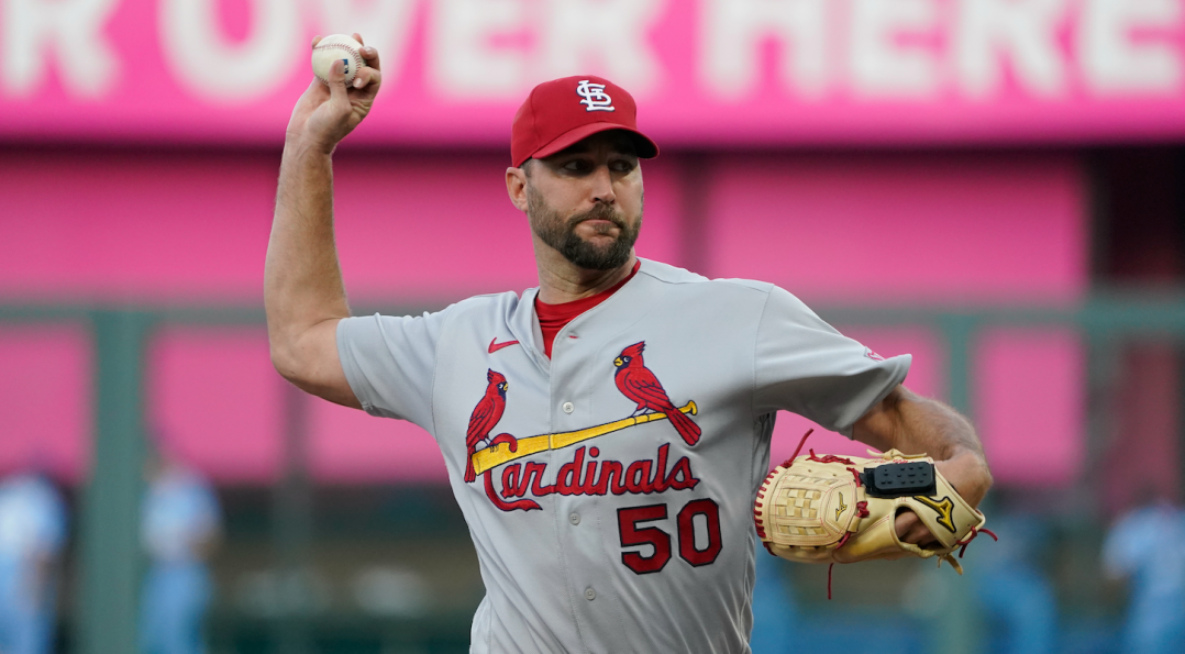 489 St Louis Cardinals Mascot Stock Photos, High-Res Pictures, and Images -  Getty Images