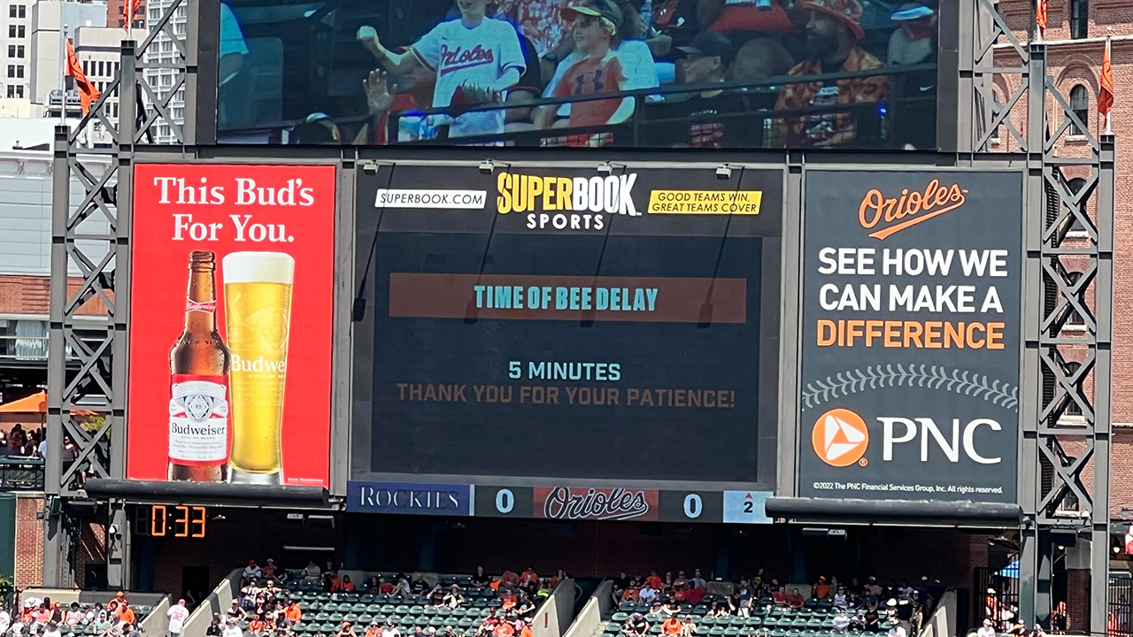 A message on the Camden Yards scoreboard that says "BEE DELAY: 5 MINUTES"