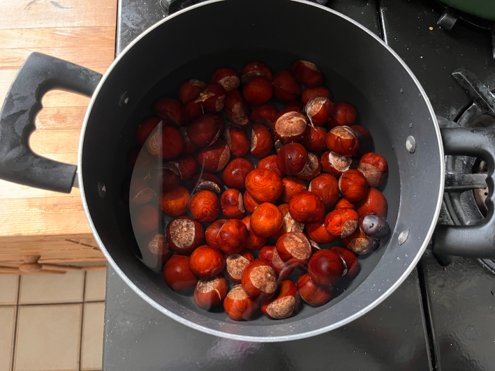 About a pound and a half of foraged chestnuts in a pot on my stove.