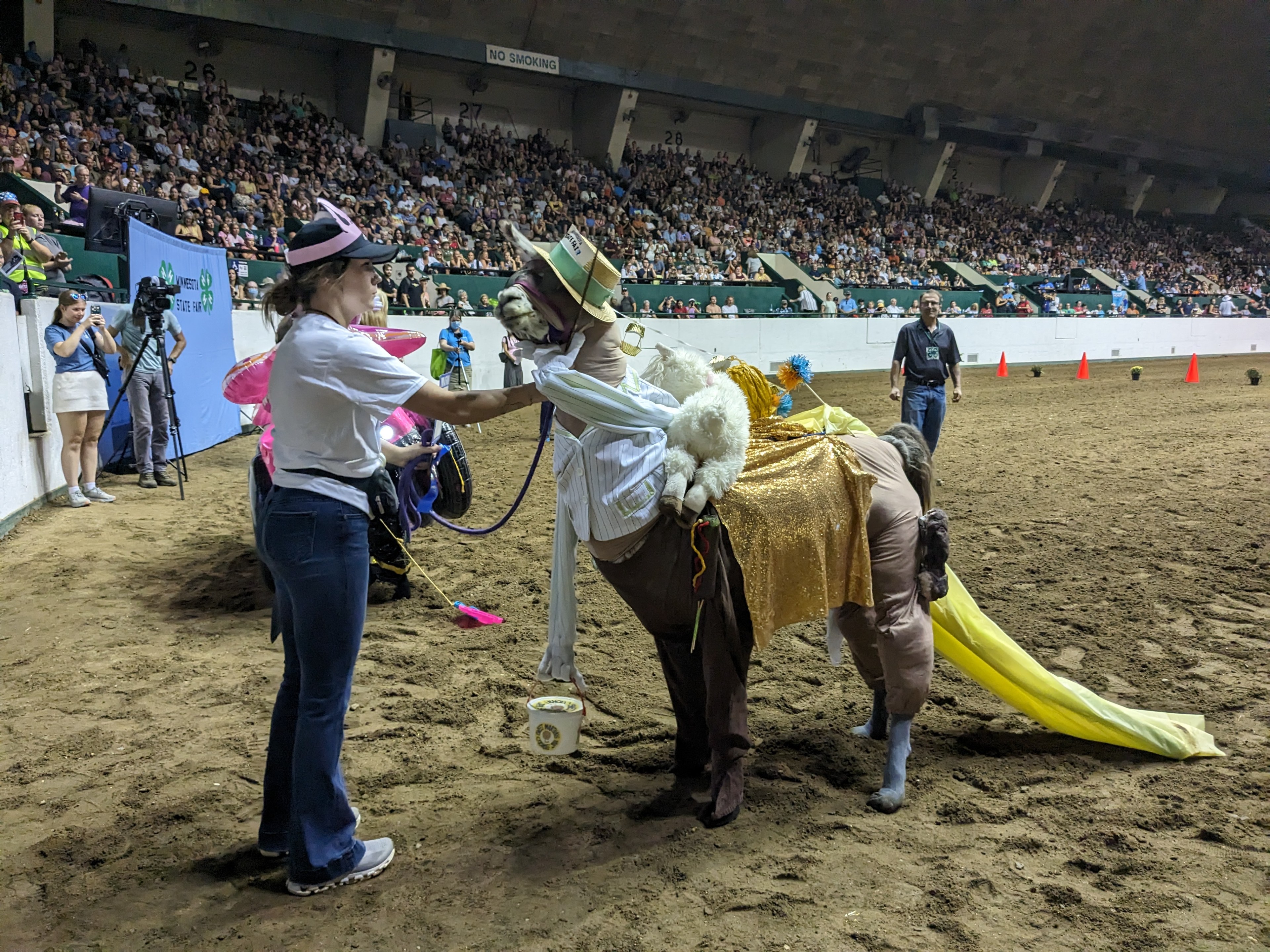 A child and llama competing in the Llama-Alpaca Costume Contest at the Minnesota State Fair.