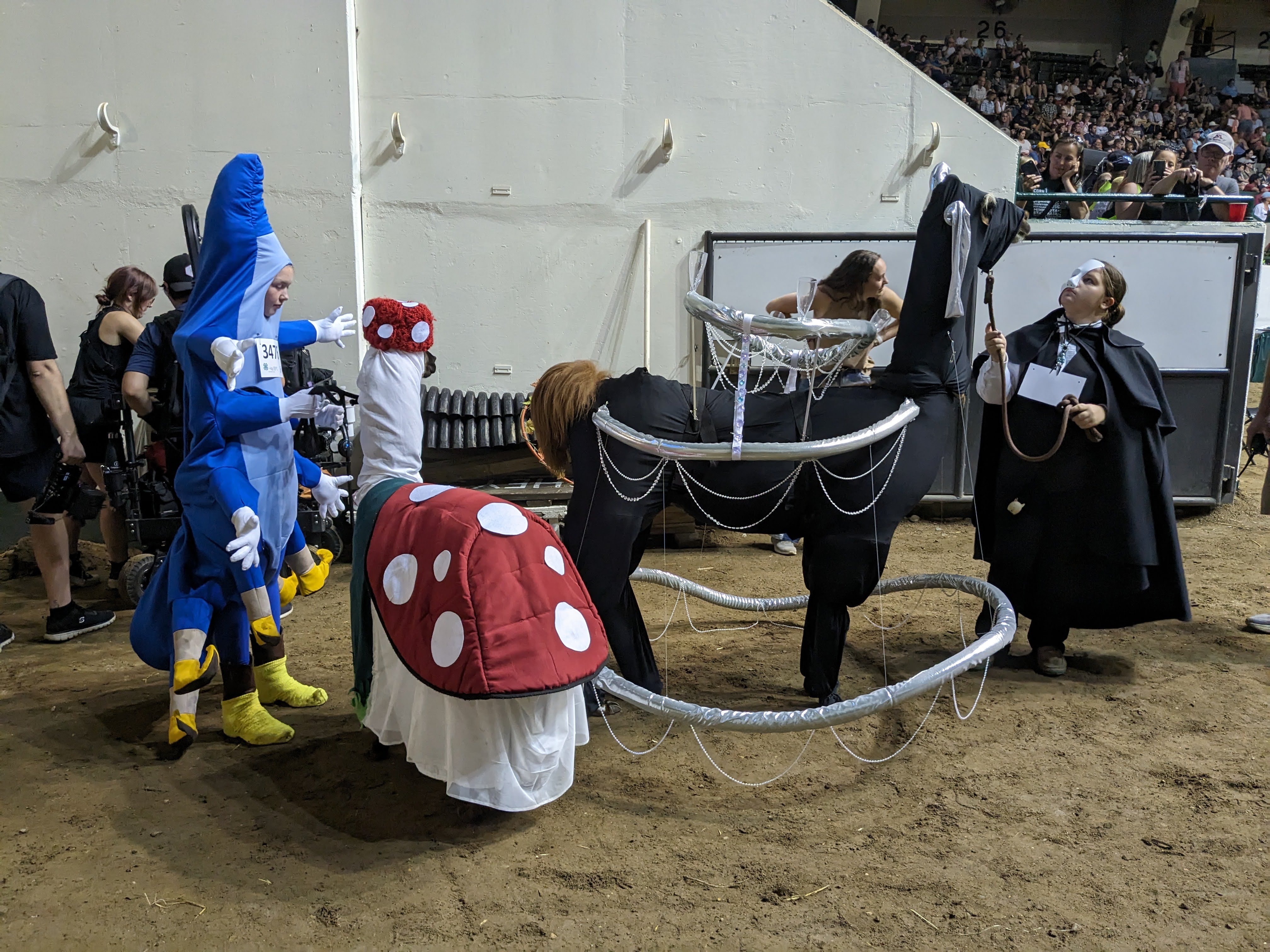 What I Saw At The Minnesota State Fair s Llama Alpaca Experience