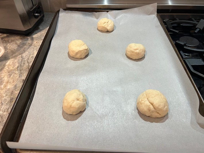 Five roughly handled and not spherical dough balls are set to begin a second proving stage.