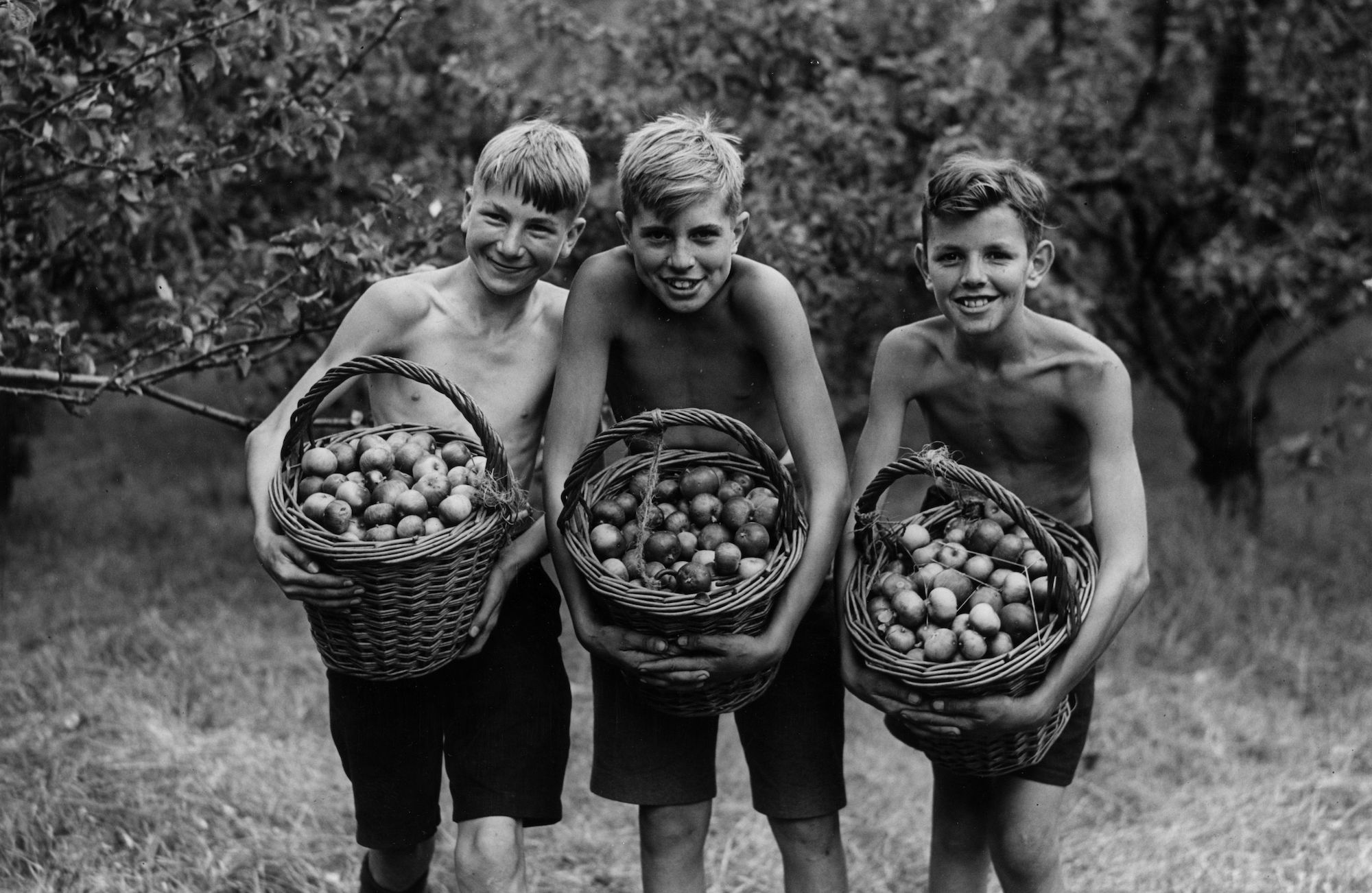 20th August 1943: Three schoolboys carrying baskets of apples after picking fruit during a stay at the Bishop of Rochesters Harvesting Camp at Cranbrook in Kent. (Photo by Reg Speller/Fox Photos/Getty Images)