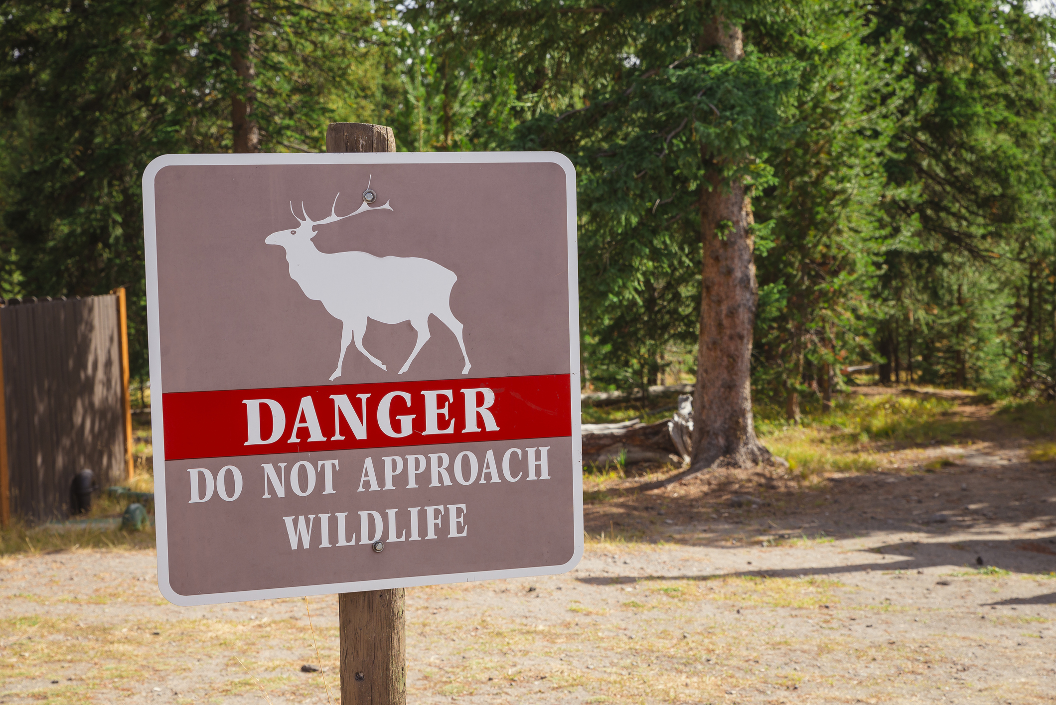 A Danger sign in front of trees in Yellowstone National Park warns visitors to not approach wildlife.