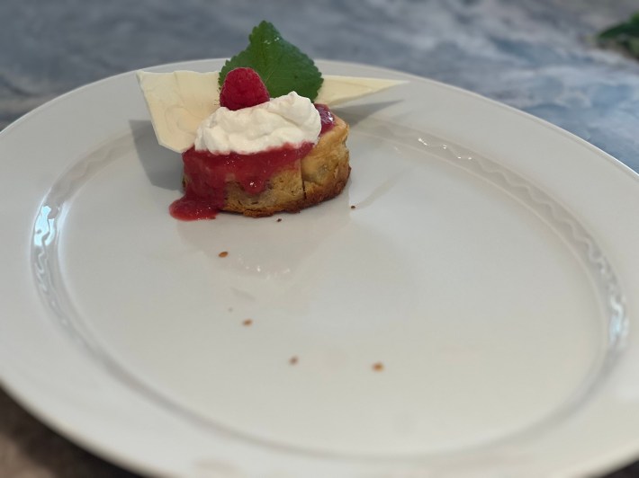 One lonesome mini-cheesecake sits on a vast white platter.