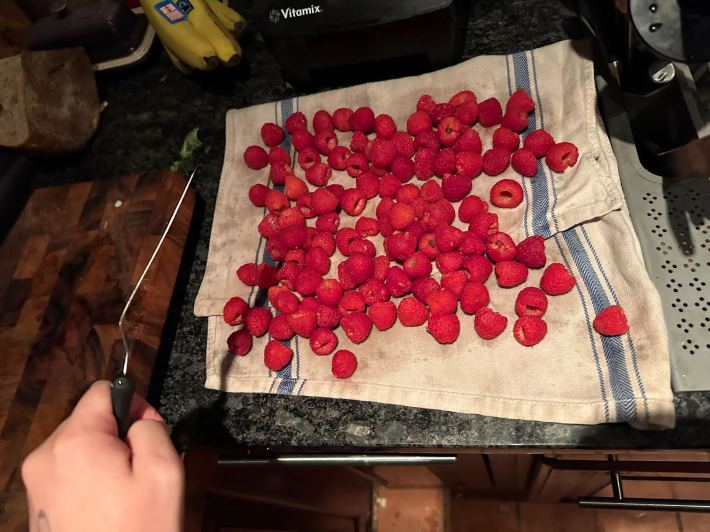 Kelsey sorts and cleans her raspberries.