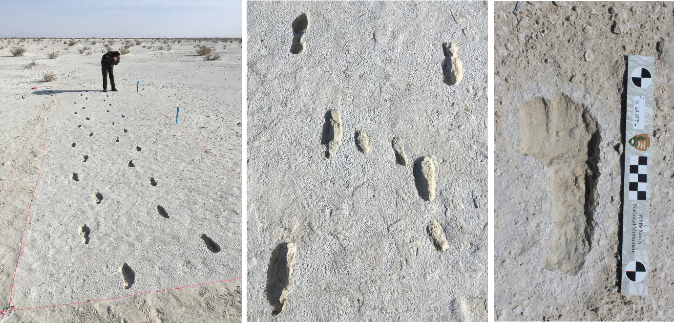 Three photos depicting fossil human footprints at White Sands National Park, one showing a person photographing them, one shot of several footprints, one shot of a single footprint