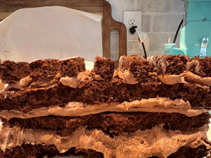 Awful crumbly strips of chocolate sponge glued to the top of the structure using buttercream.