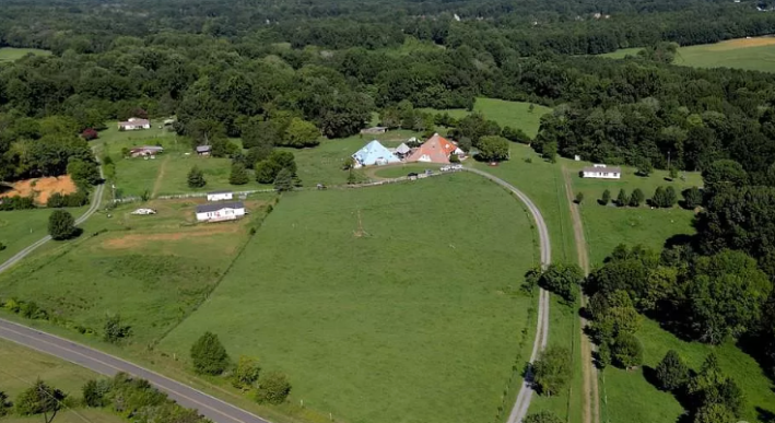 two pyramids on a big green field