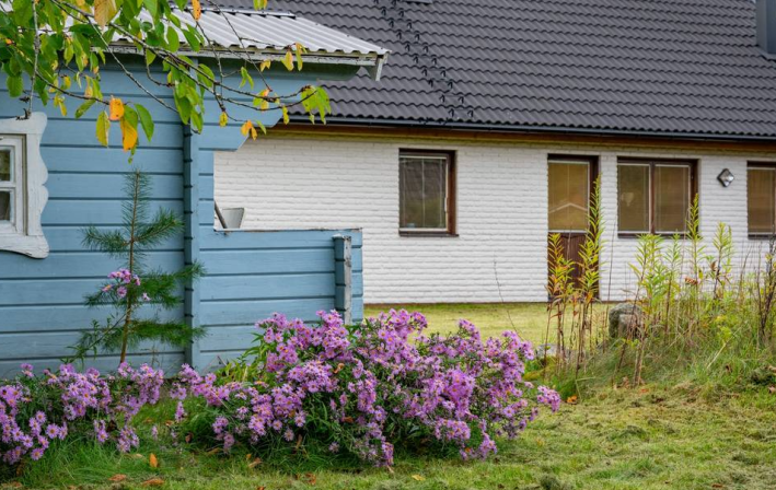 white house with light blue extension and purple flowers