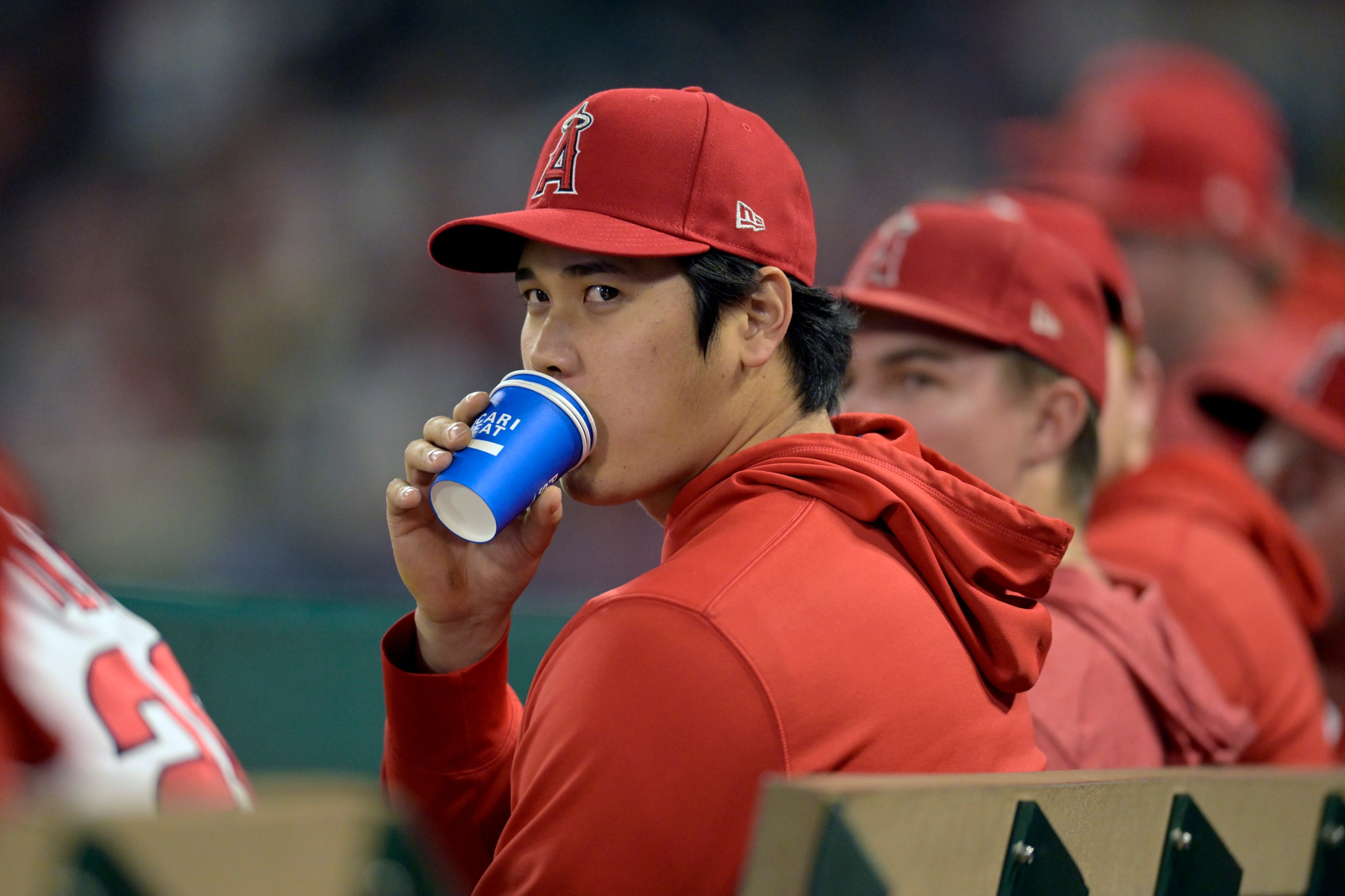 Shohei Ohtani of the Los Angeles Angels watches a game against the Detroit Tigers at Angel Stadium of Anaheim on September 16, 2023 in Anaheim, California.