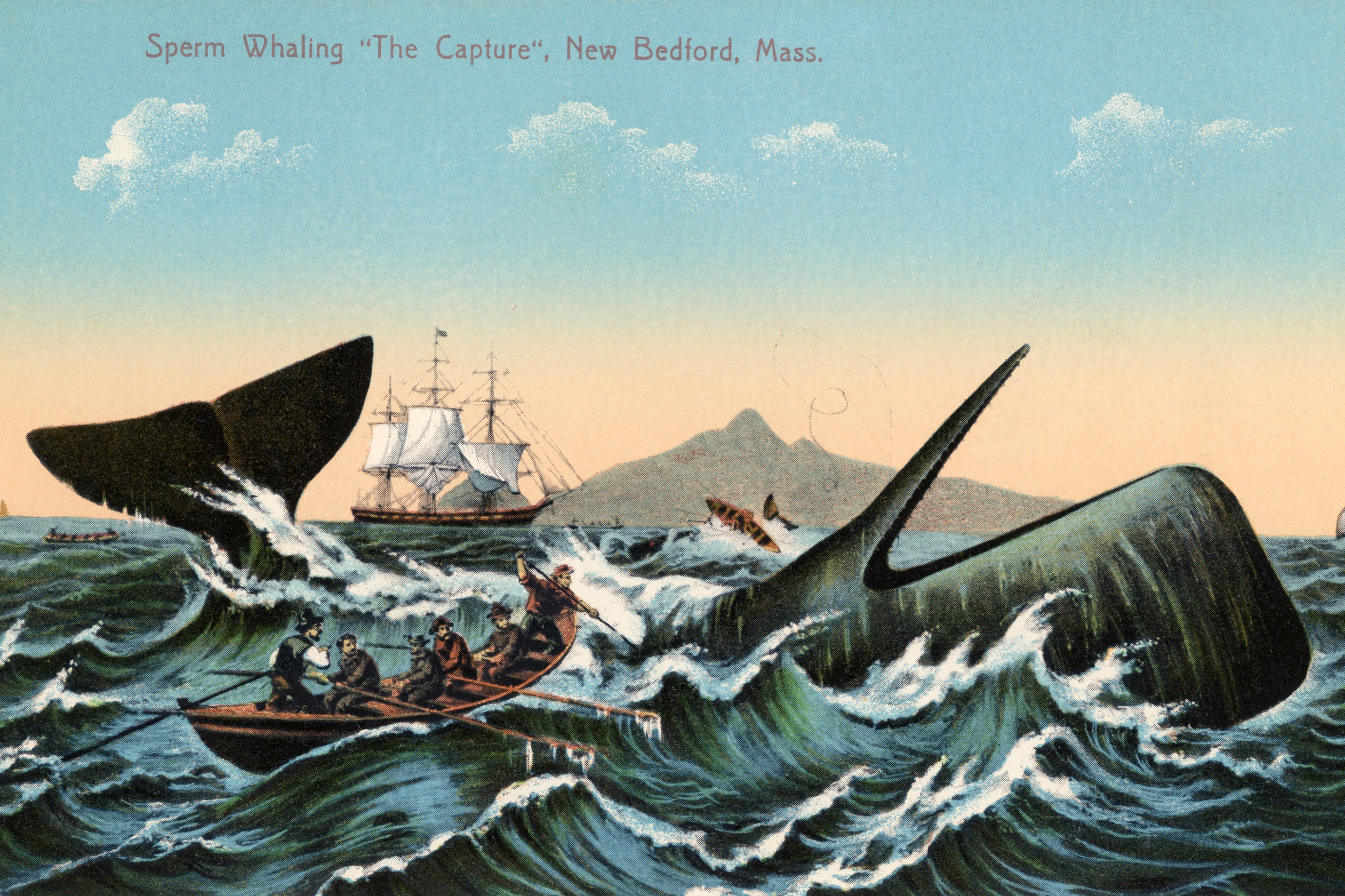 Antique print of whalers harpooning a sperm whale off New Bedford, Massachusetts. The print is from 1910.
