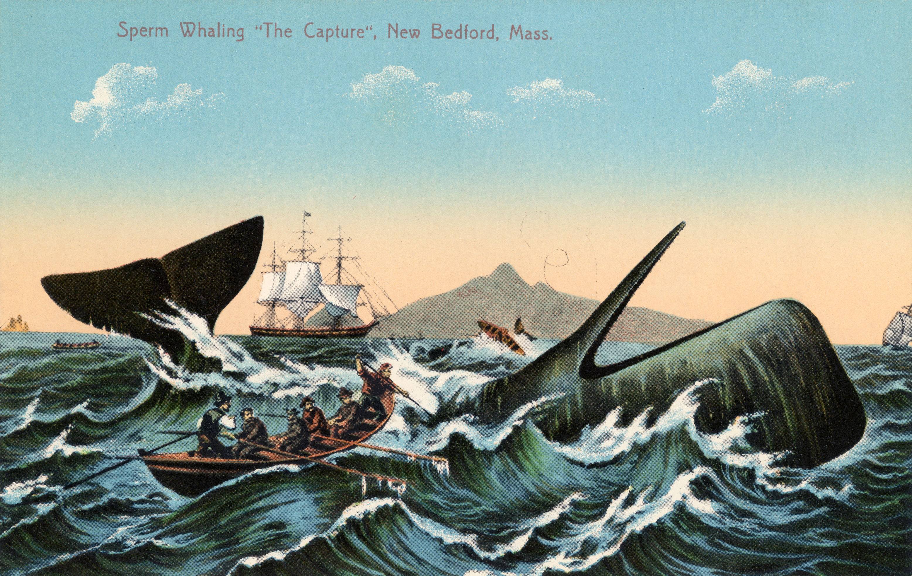 Antique print of whalers harpooning a sperm whale off New Bedford, Massachusetts. The print is from 1910.