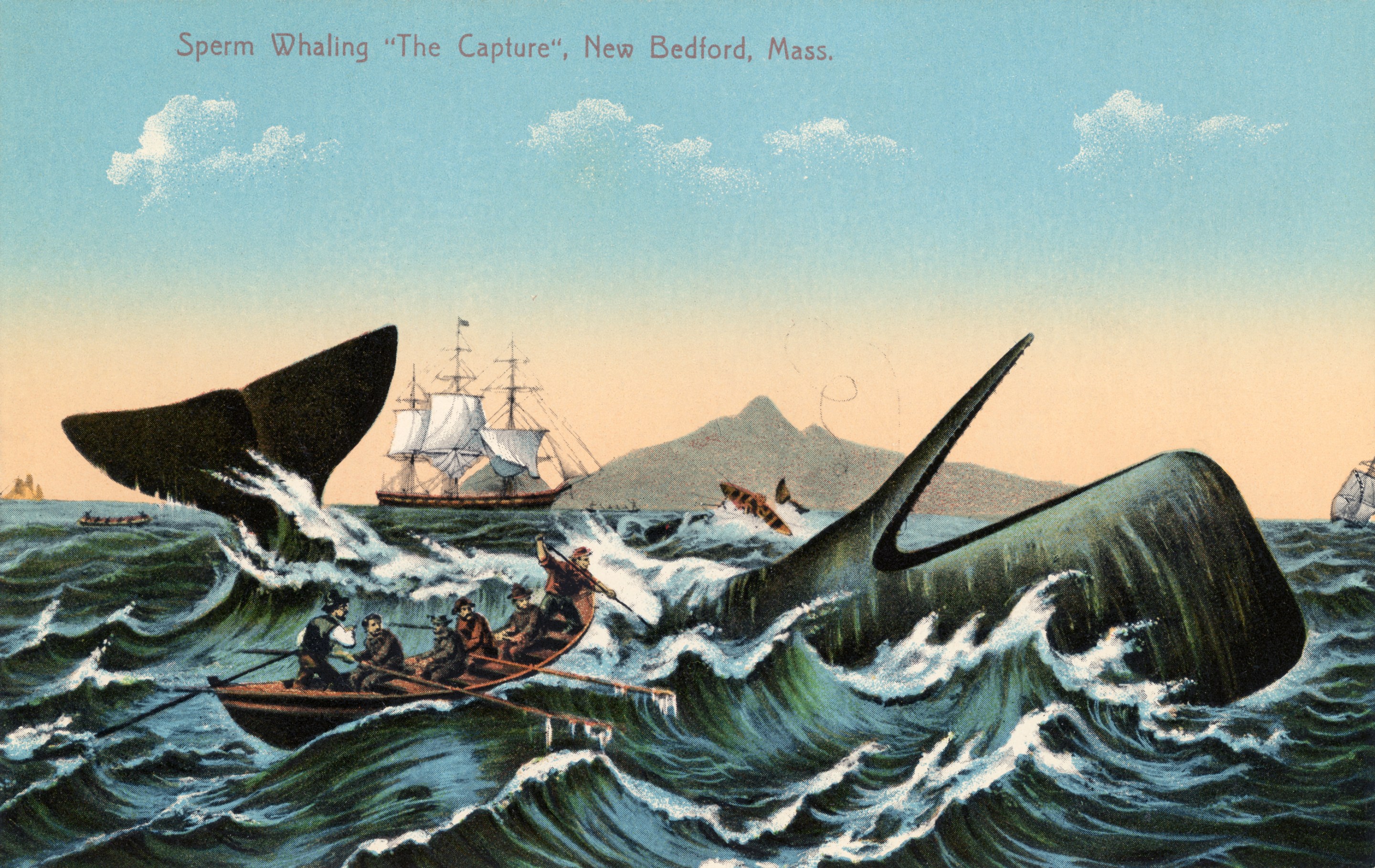 Antique print of whalers harpooning a sperm whale off New Bedford, Massachusetts. The print is from 1910.