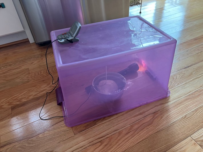 A bowl of dough and a large flashlight sit on the floor underneath an overturned purple plastic storage bin, with an instant-read thermometer deployed.