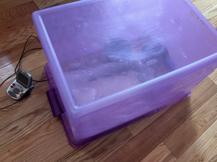 The roasting tin with the lardy cake is now underneath the overturned purple plastic storage bin, plus two bowls of steaming water.