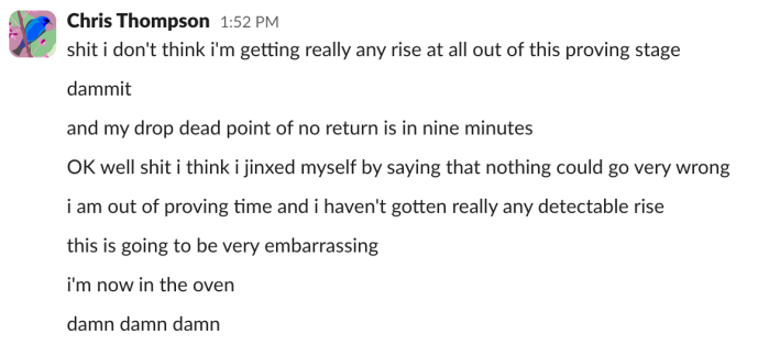 Chris: "shit i don't think i'm getting really any rise at all out of this proving stage""dammit""and my drop dead point of no return is in nine minutes""OK well shit i think i jinxed myself by saying that nothing could go very wrong""i am out of proving time and i haven't gotten really any detectable rise""this is going to be very embarrassing""i'm now in the oven""damn damn damn"