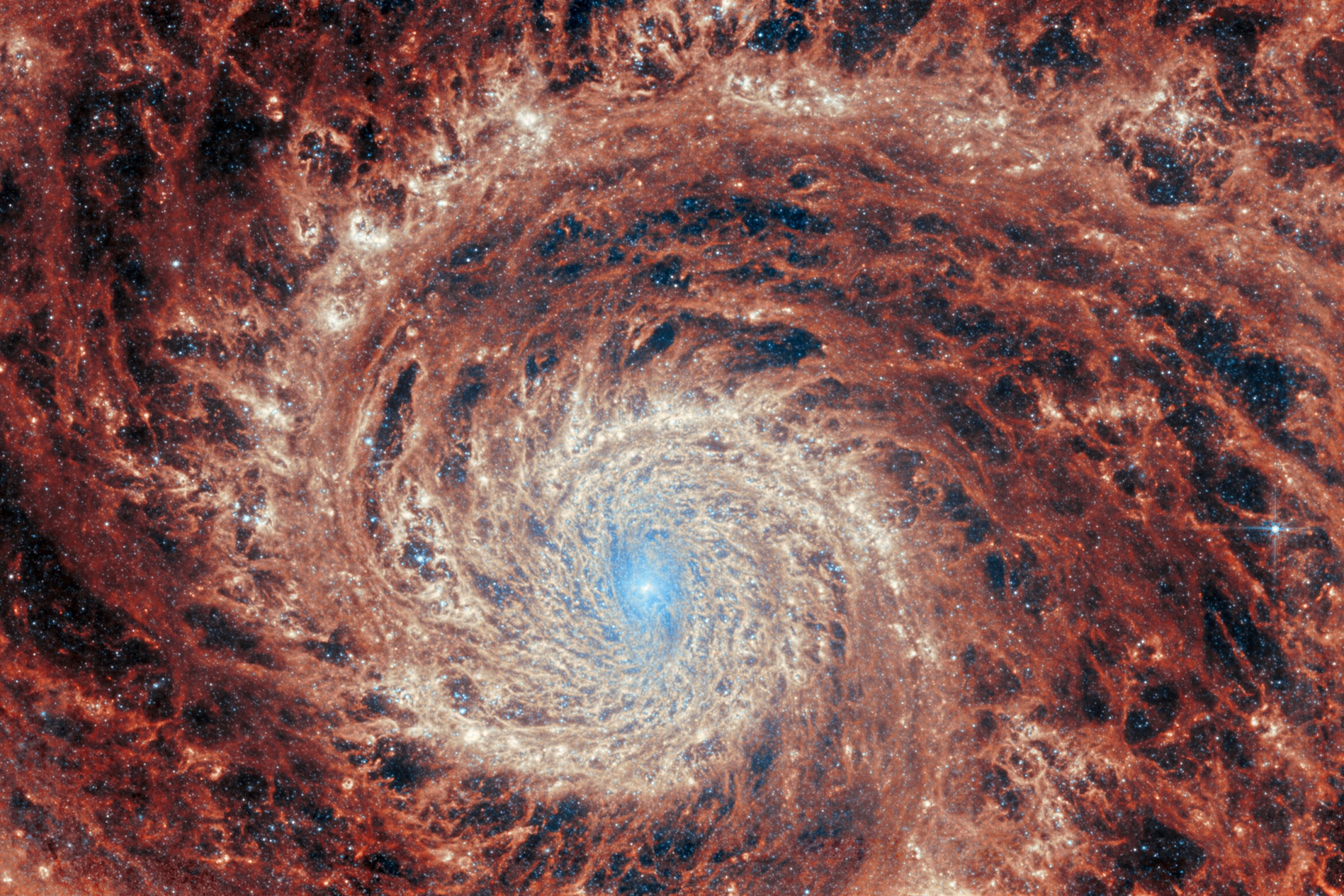 The graceful winding arms of the grand-design spiral galaxy M51 stretch across this image from the NASA/ESA/CSA James Webb Space Telescope. Unlike the menagerie of weird and wonderful spiral galaxies with ragged or disrupted spiral arms, grand-design spiral galaxies boast prominent, well-developed spiral arms like the ones showcased in this image. This galactic portrait was captured by Webb’s Mid-InfraRed Instrument (MIRI). In this image the reprocessed stellar light by dust grains and molecules in the medium of the galaxy illuminate a dramatic filamentary medium. Empty cavities and bright filaments alternate and give the impression of ripples propagating from the spiral arms. The yellow compact regions indicate the newly formed star clusters in the galaxy. M51 — also known as NGC 5194 — lies about 27 million light-years away from Earth in the constellation Canes Venatici, and is trapped in a tumultuous relationship with its near neighbour, the dwarf galaxy NGC 5195. The interaction between these two galaxies has made these galactic neighbours one of the better-studied galaxy pairs in the night sky. The gravitational influence of M51’s smaller companion is thought to be partially responsible for the stately nature of the galaxy’s prominent and distinct spiral arms. If you would like to learn more about this squabbling pair of galactic neighbours, you can explore earlier observations of M51 by the NASA/ESA Hubble Space Telescope here.  This Webb observation of M51 is one of a series of observations collectively titled Feedback in Emerging extrAgalactic Star clusTers, or FEAST. The FEAST observations were designed to shed light on the interplay between stellar feedback and star formation in environments outside of our own galaxy, the Milky Way. Stellar feedback is the term used to describe the outpouring of energy from stars into the environments which form them, and is a crucial process in determining the rates at which stars form. Understanding stellar feedback is vital to building accurate universal models of star formation. The aim of the FEAST observations is to discover and study stellar nurseries in galaxies beyond our own Milky Way. Before Webb became operative, other observatories such as the Atacama Large Millimetre Array in the Chilean desert and Hubble have given us a glimpse of star formation either at the onset (tracing the dense gas and dust clouds where stars will form) or after the stars have destroyed with their energy their natal gas and dust clouds. Webb is opening a new window into the early stages of star formation and stellar light, as well as the energy reprocessing of gas and dust. Scientists are seeing star clusters emerging from their natal cloud in galaxies beyond our local group for the first time. They will also be able to measure how long it takes for these stars to pollute with newly formed metals and to clean out the gas (these time scales are different from galaxy to galaxy). By studying these processes, we will better understand how the star formation cycle and metal enrichment are regulated within galaxies as well as what are the time scales for planets and brown dwarfs to form. Once dust and gas is removed from the newly formed stars, there is no material left to form planets. [Image Description: A large spiral galaxy takes up the entirety of the image. The core is mostly bright white, but there are also swirling, detailed structures that resemble water circling a drain. There is white and pale blue light that emanates from stars and dust at the core’s centre, but it is tightly limited to the core. The detailed rings feature bands of deep orange and cloudy grey, which are interspersed by darker empty regions throughout.]
