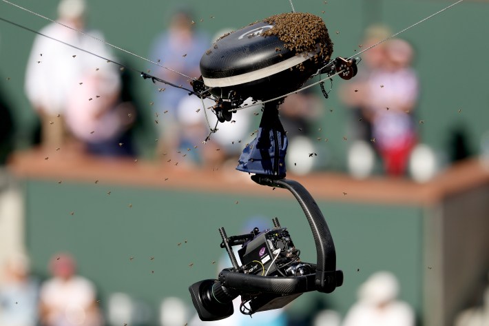 Thousands of bees swarm around a camera in an Indian Wells tennis stadium