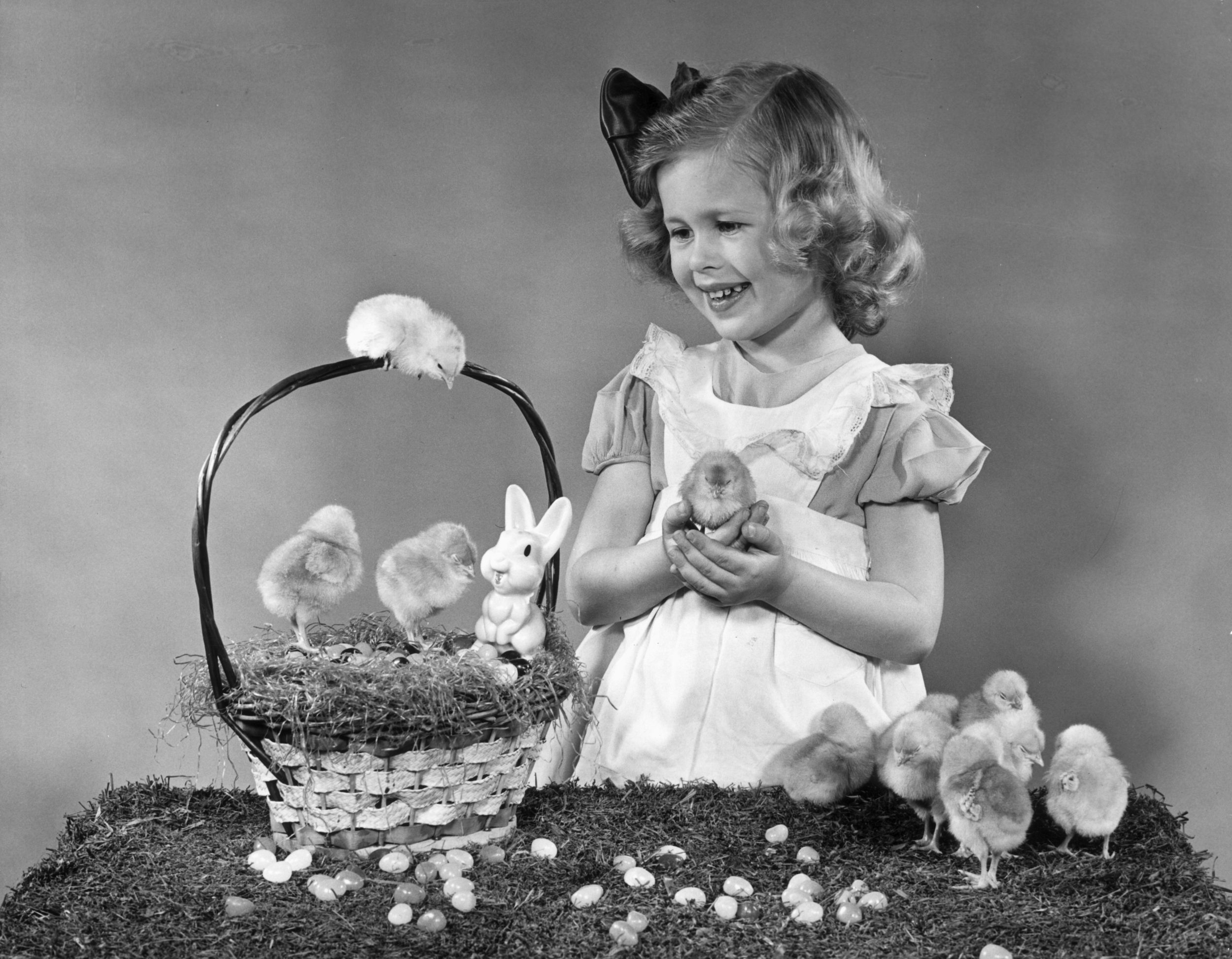 circa 1945: A young girl holds a chick beside a table with artificial grass, more chicks and a basket containing jelly beans and a bunny in an Easter portrait.