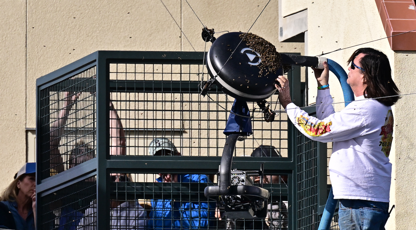 A beekeper works to clear bees from Centre Court which led to the temporary suspension of the match between Germany's Alexander Zverev and Spain's Carlos Alcaraz in their ATP-WTA Indian Wells Masters men's quarterfinal tennis match at the Indian Wells Tennis Garden in Indian Wells, California, on March 14, 2024.