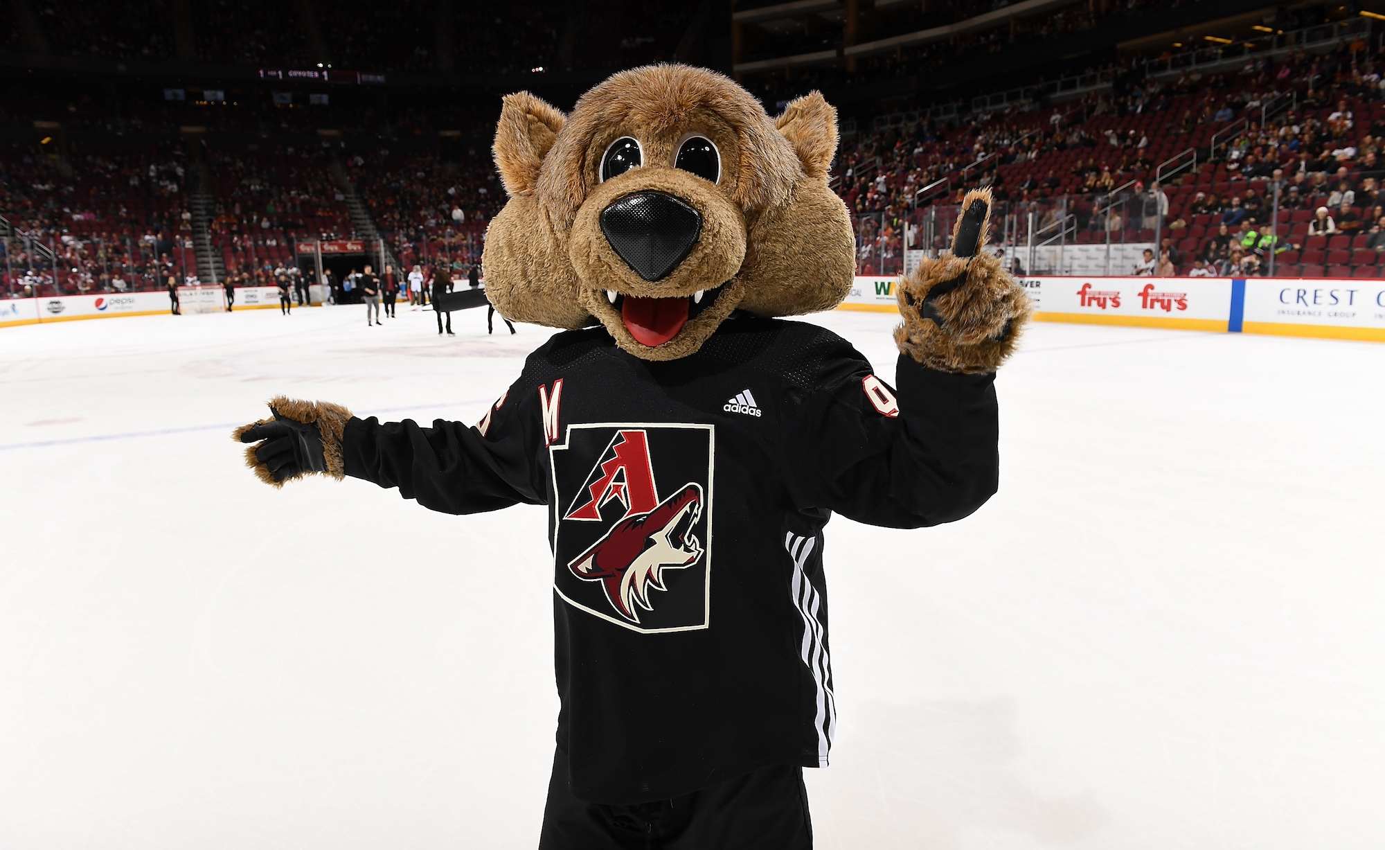 against the Anaheim Ducks at Gila River Arena on February 24, 2018 in Glendale, Arizona.