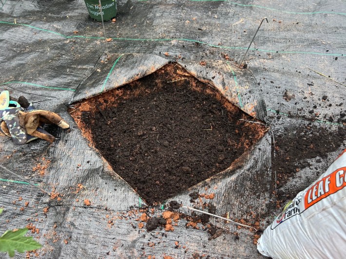 A hole filled with enriched soil.