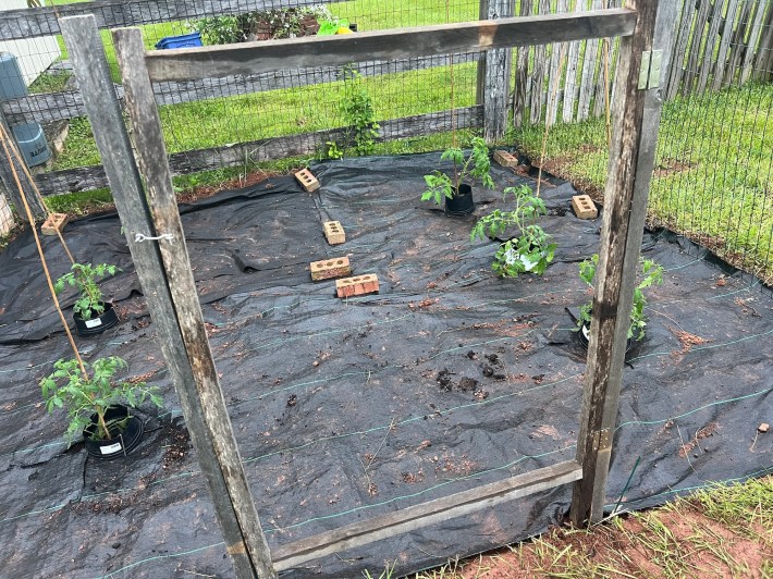 An improvised gate attached to the fence.