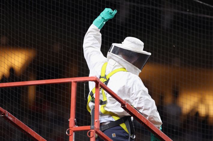 Beekeeper Matt Hilton reacts to fans after removing a colony of bees that formed on the net behind home plate during a delay to the MLB game between the Los Angeles Dodgers and the Arizona Diamondbacks at Chase Field on April 30, 2024 in Phoenix, Arizon