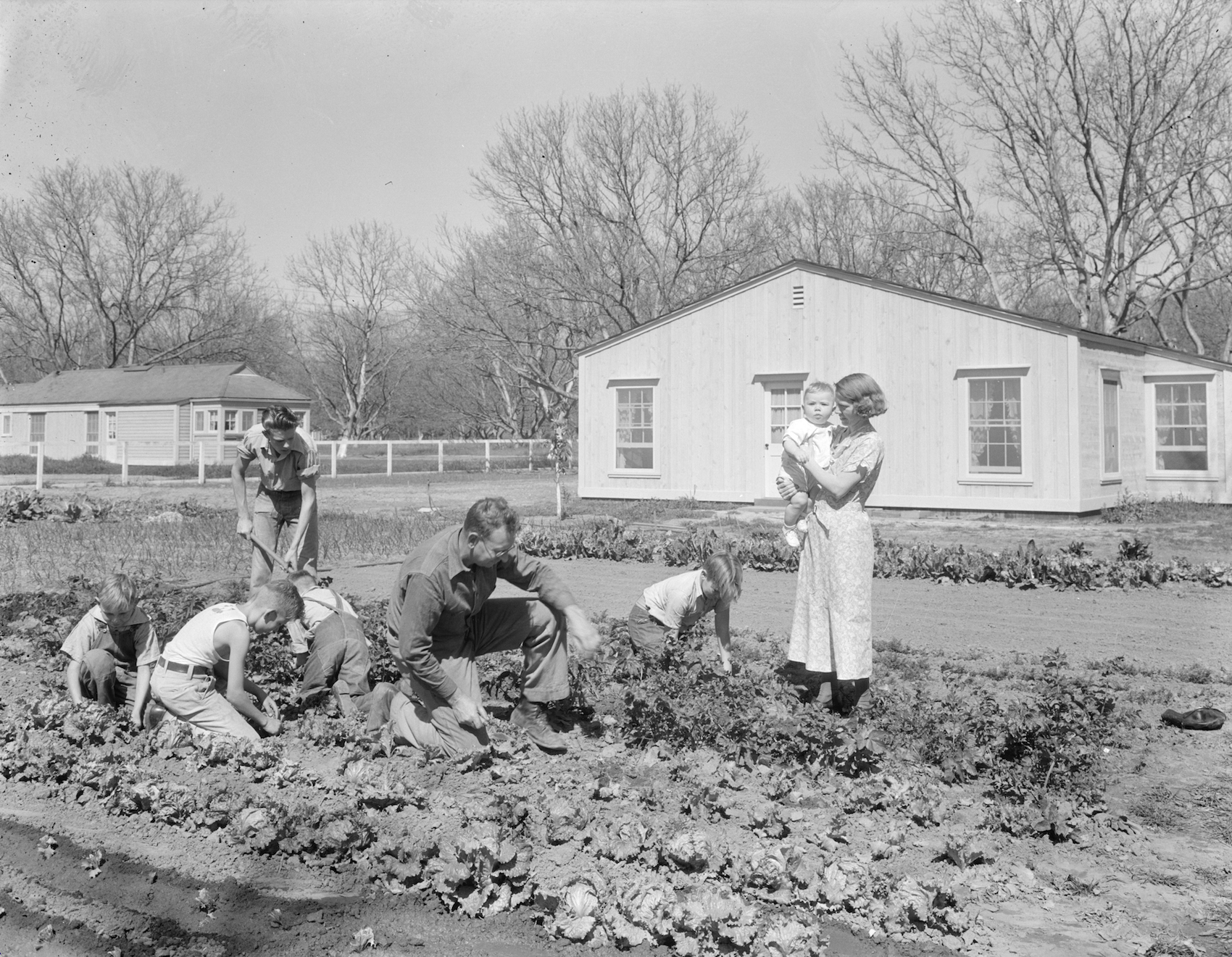 Some people do some gardening.
