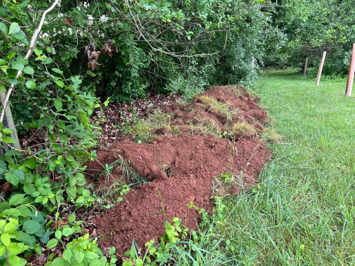 Sod piled up next to the woods.