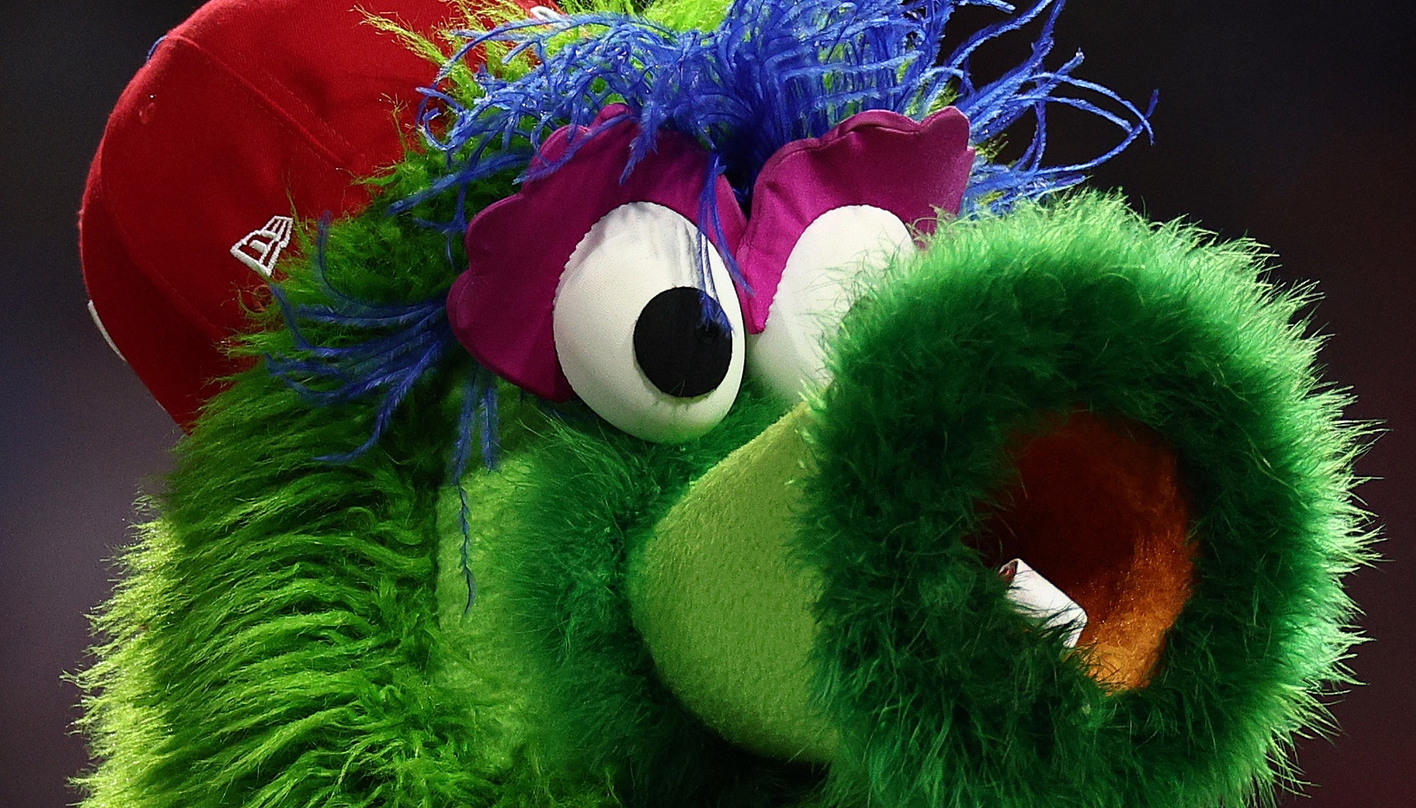 close up of the phanatic's face.