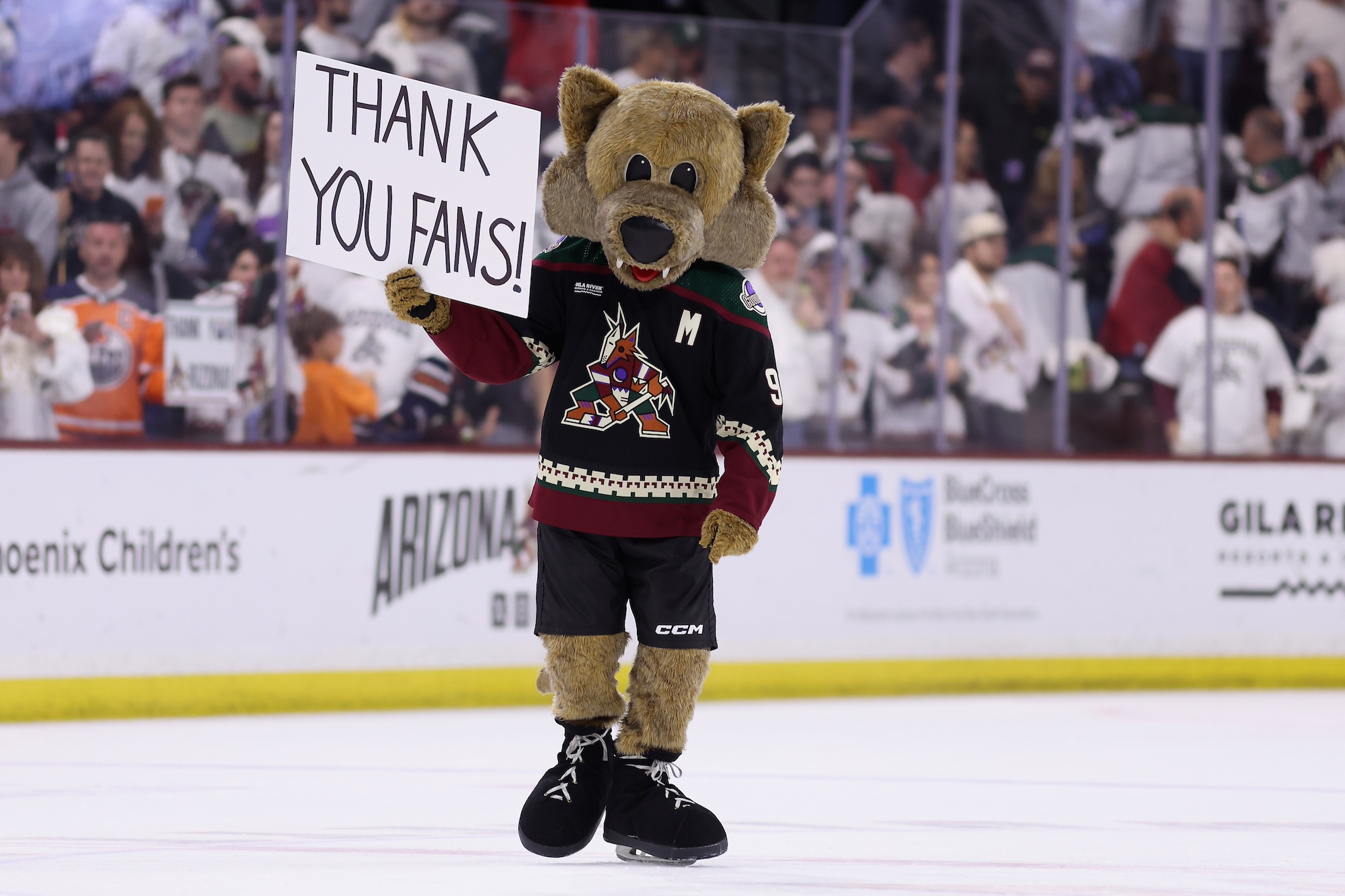 TEMPE, ARIZONA - APRIL 17: The Arizona Coyotes mascot, "Howler" holds up a sign reading "thank you fans" following the NHL game against the Edmonton Oilers at Mullett Arena on April 17, 2024 in Tempe, Arizona. Tonight's game likely marks the end of 28 years for the franchise, playing in the NHL's smallest arena, with an anticipated move to Utah with the team's expected sale to the NBA's Utah Jazz owner Ryan Smith. (Photo by Christian Petersen/Getty Images)