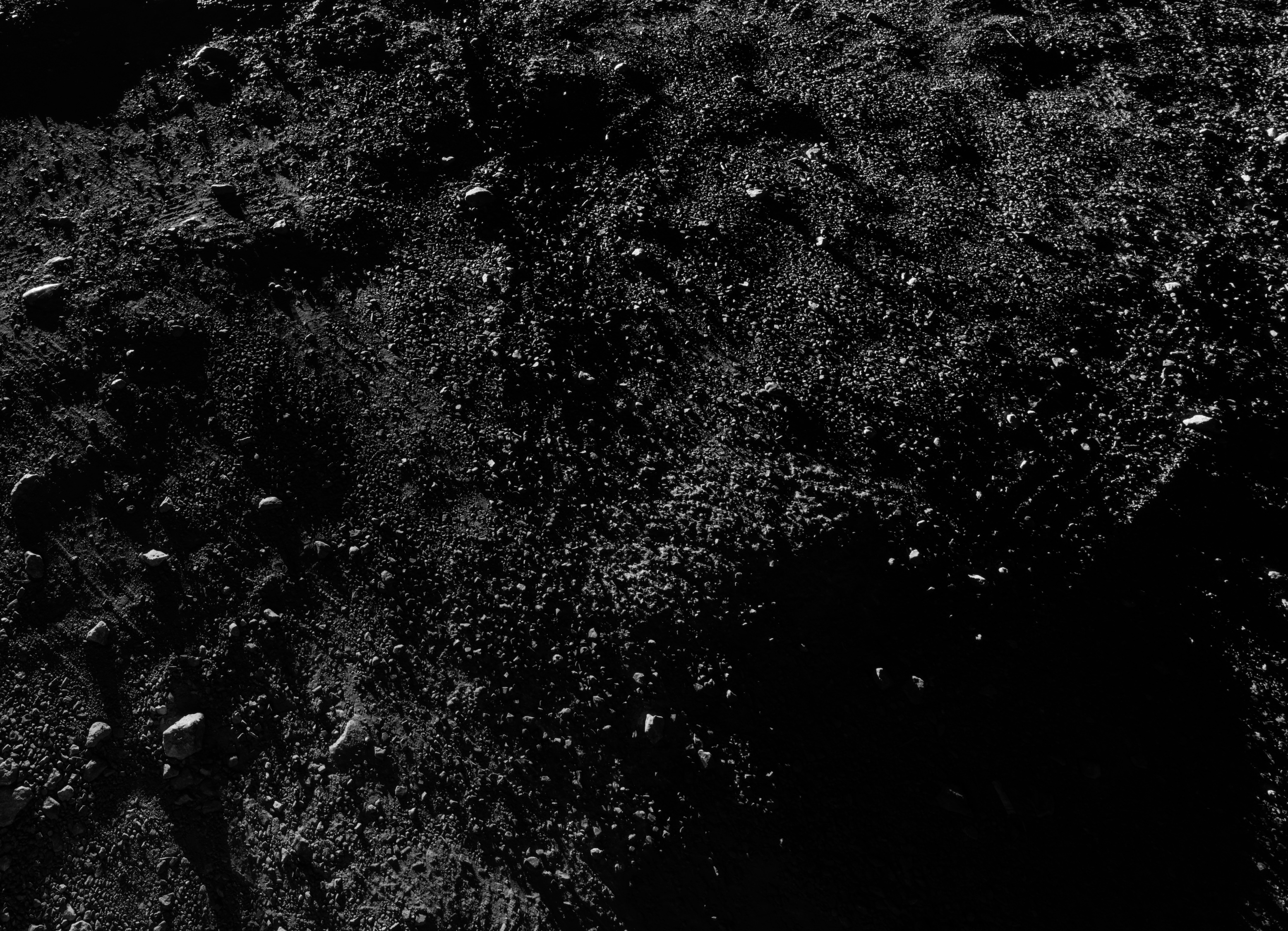 A close-up photo of some dark dirt.