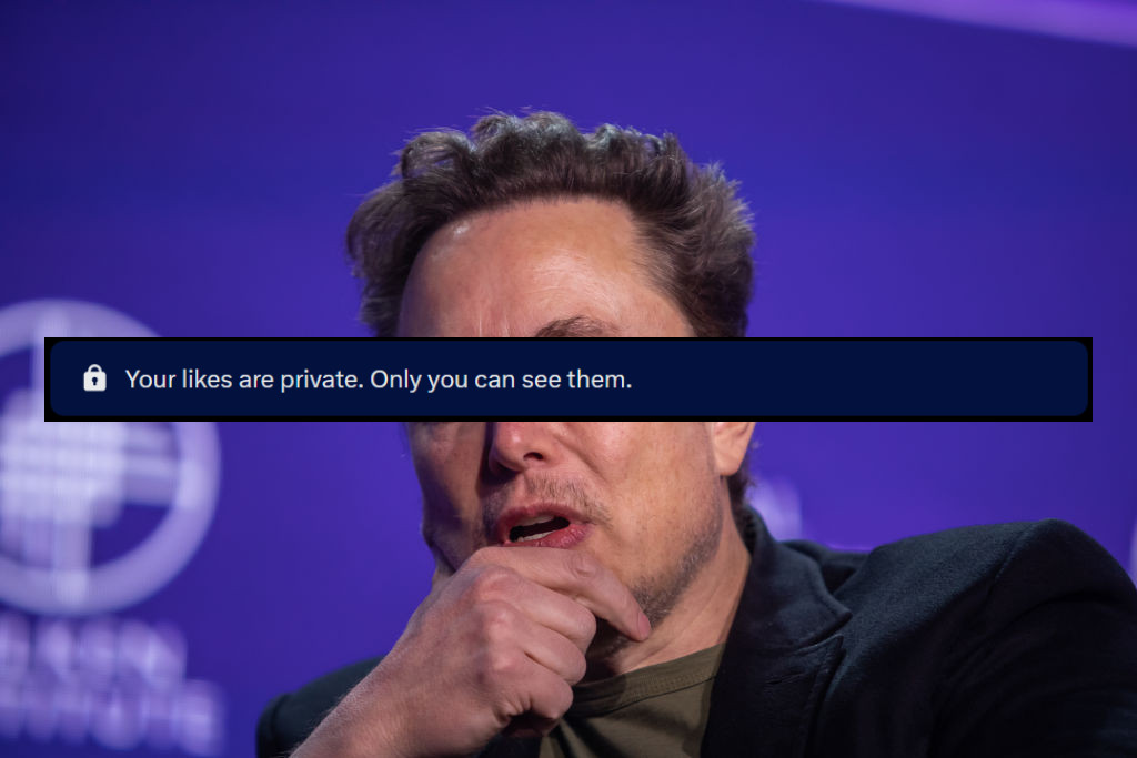 Elon Musk, with blue bar stating "Your likes are private. Only you can see them." over his eyes