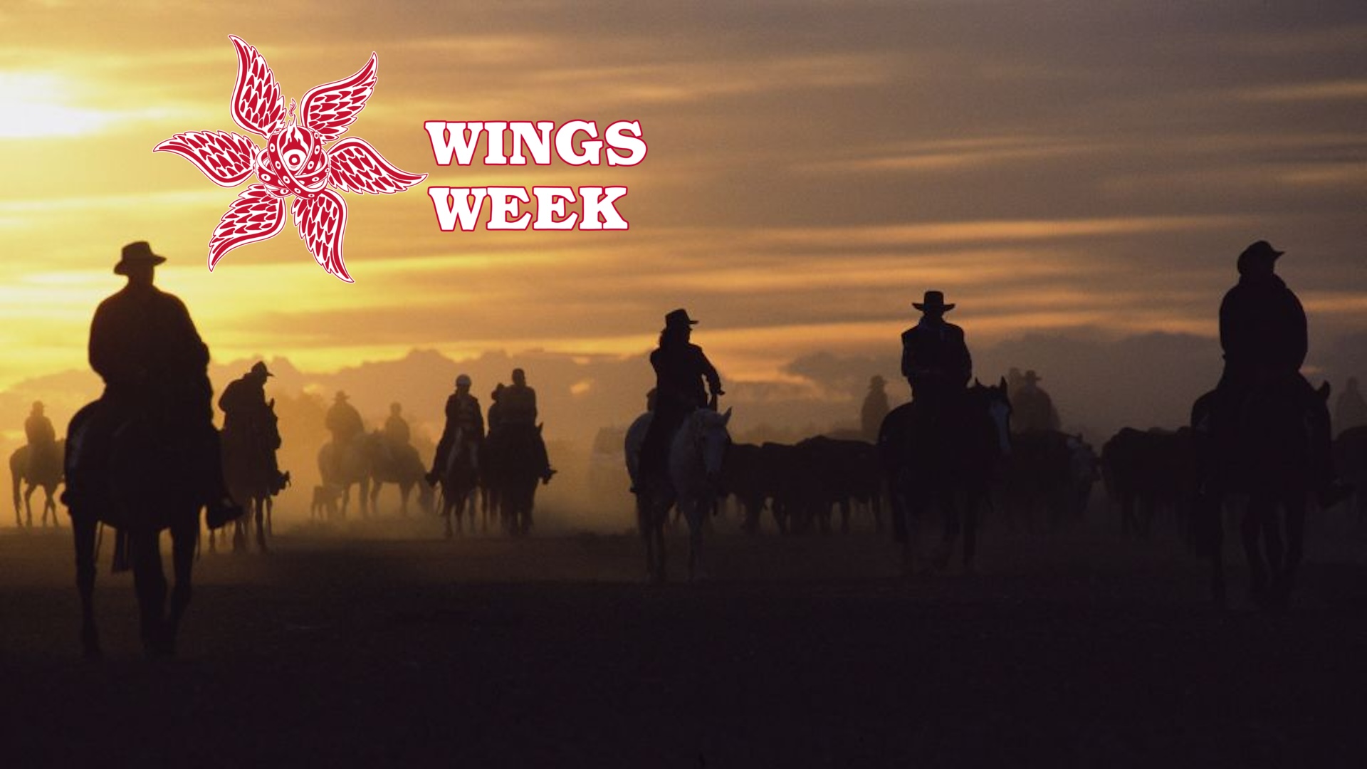 The Great Cattle drive Giddy up Australia In Australia- As part of the Great Australien Outback Cattle Drive, tourists join with seasoned stockmen to drive 600 head of cattle down the Birdsville track, experiencing the magic of the Australien interior along the way.