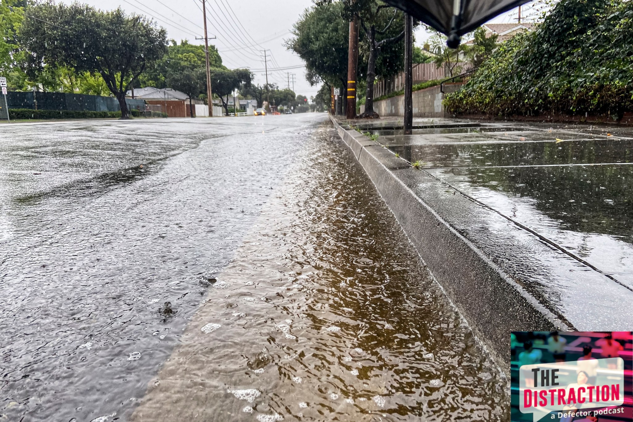 Defector Reads A Book Is Back For April | Defector