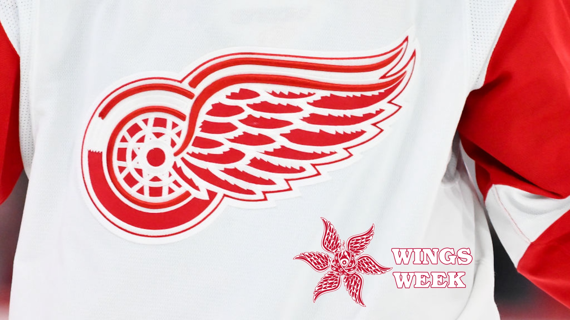 A closeup view of the Detroit Red Wings logo during the third period against the Montreal Canadiens at the Bell Centre on April 16, 2024 in Montreal, Quebec, Canada. The Detroit Red Wings defeated the Montreal Canadiens 5-4 in a shootout.
